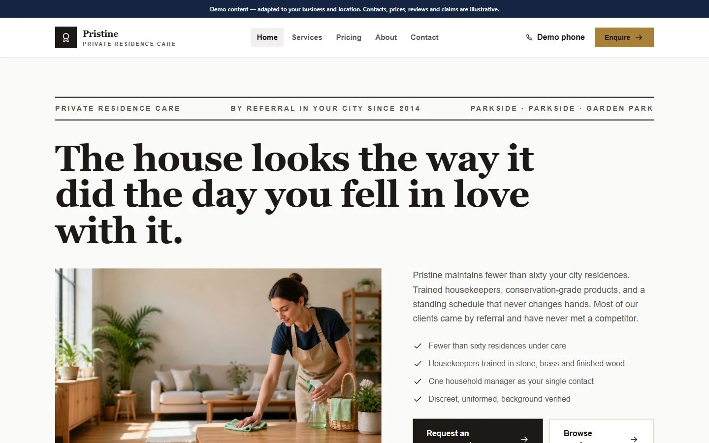 Pristine website template preview