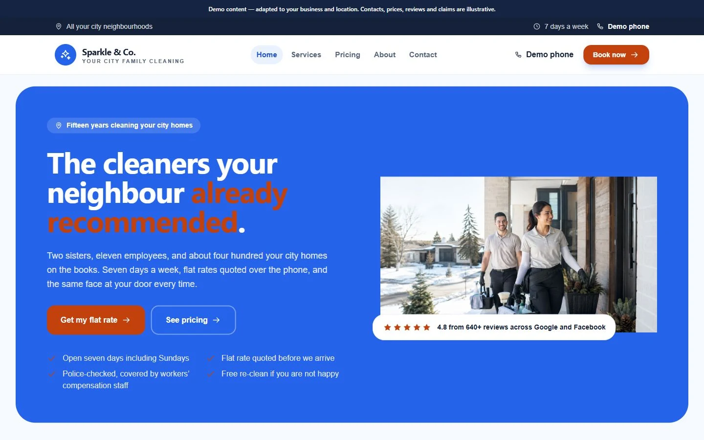 Sparkle & Co. website template preview