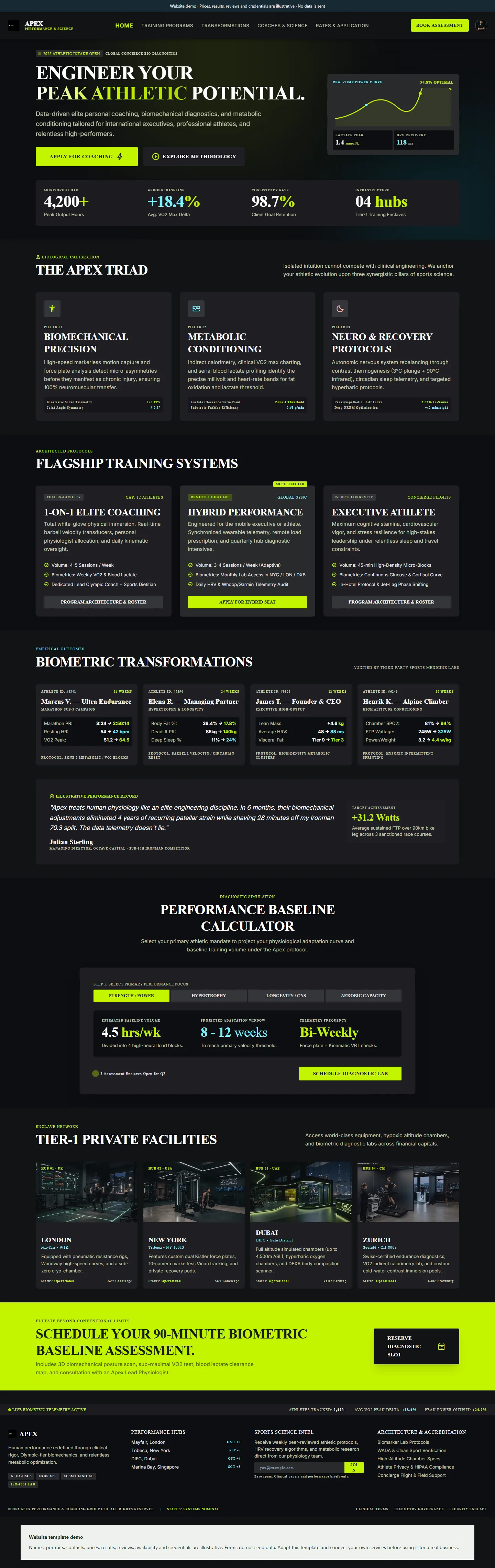 Apex Performance website template preview