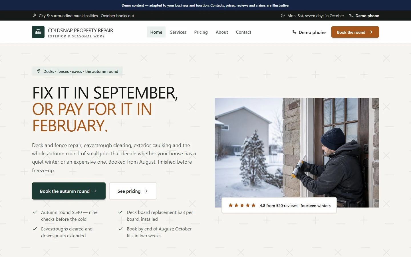 Coldsnap Property Repair website template preview