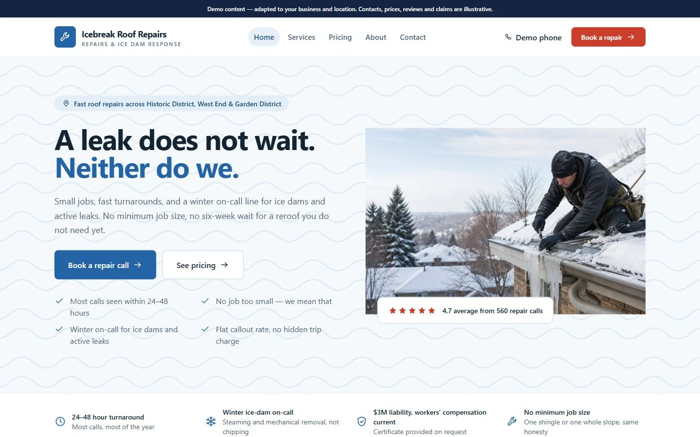 Icebreak Roof Repairs website template preview